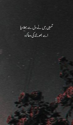 Sad Quotes In Urdu 17