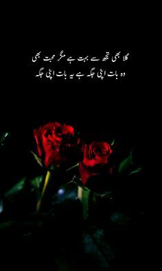 Sad Quotes In Urdu 22