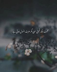 Sad Quotes In Urdu 23