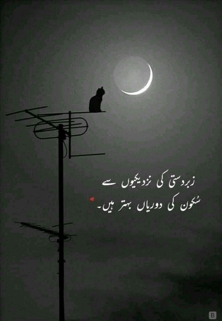 Sad Quotes In Urdu 2