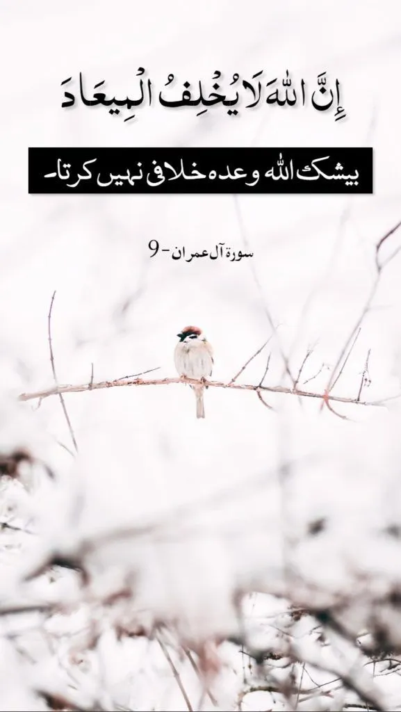 Beautiful Quran Quotes Verses In Urdu With Pictures Part 2 2